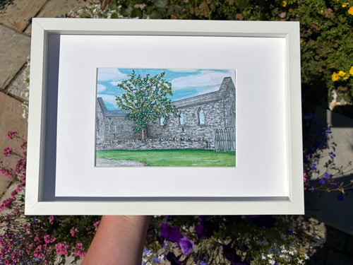 Aghaboe Abbey