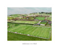 Ballyroan GAA Pitch