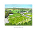 Emo Pitch & Community Centre