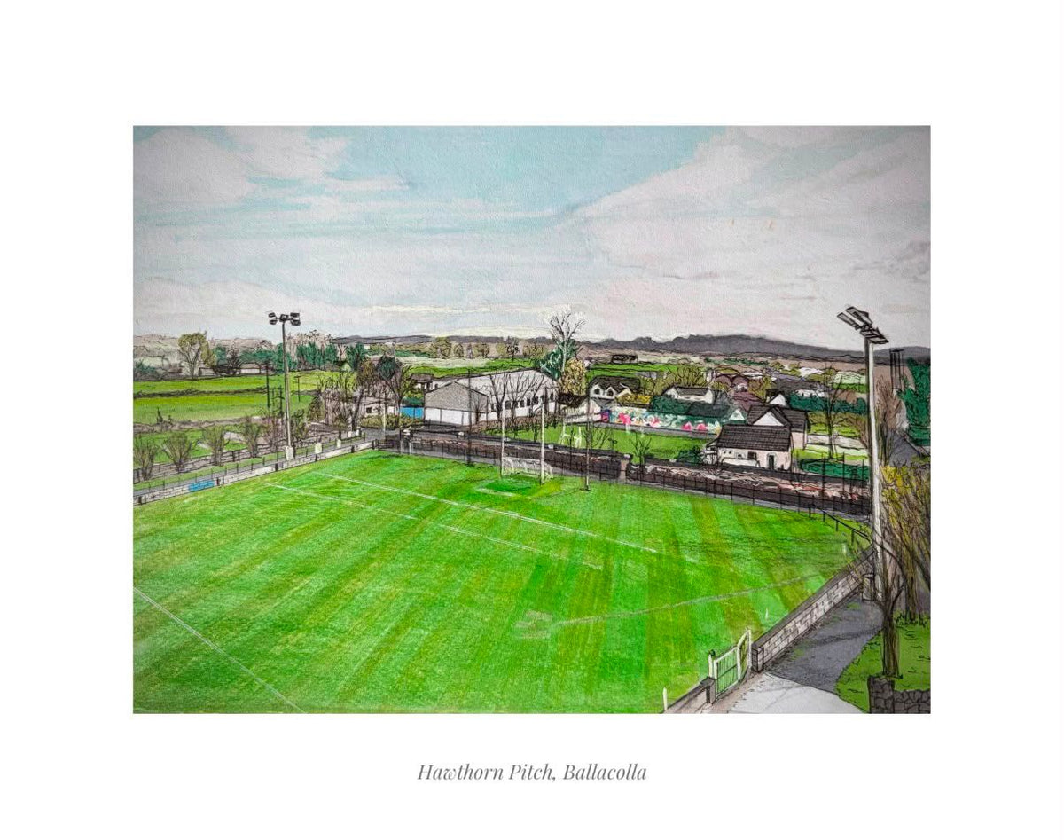 Hawthorn Pitch Ballacolla