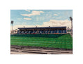 O'Moore Park