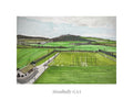 Stradbally Pitch