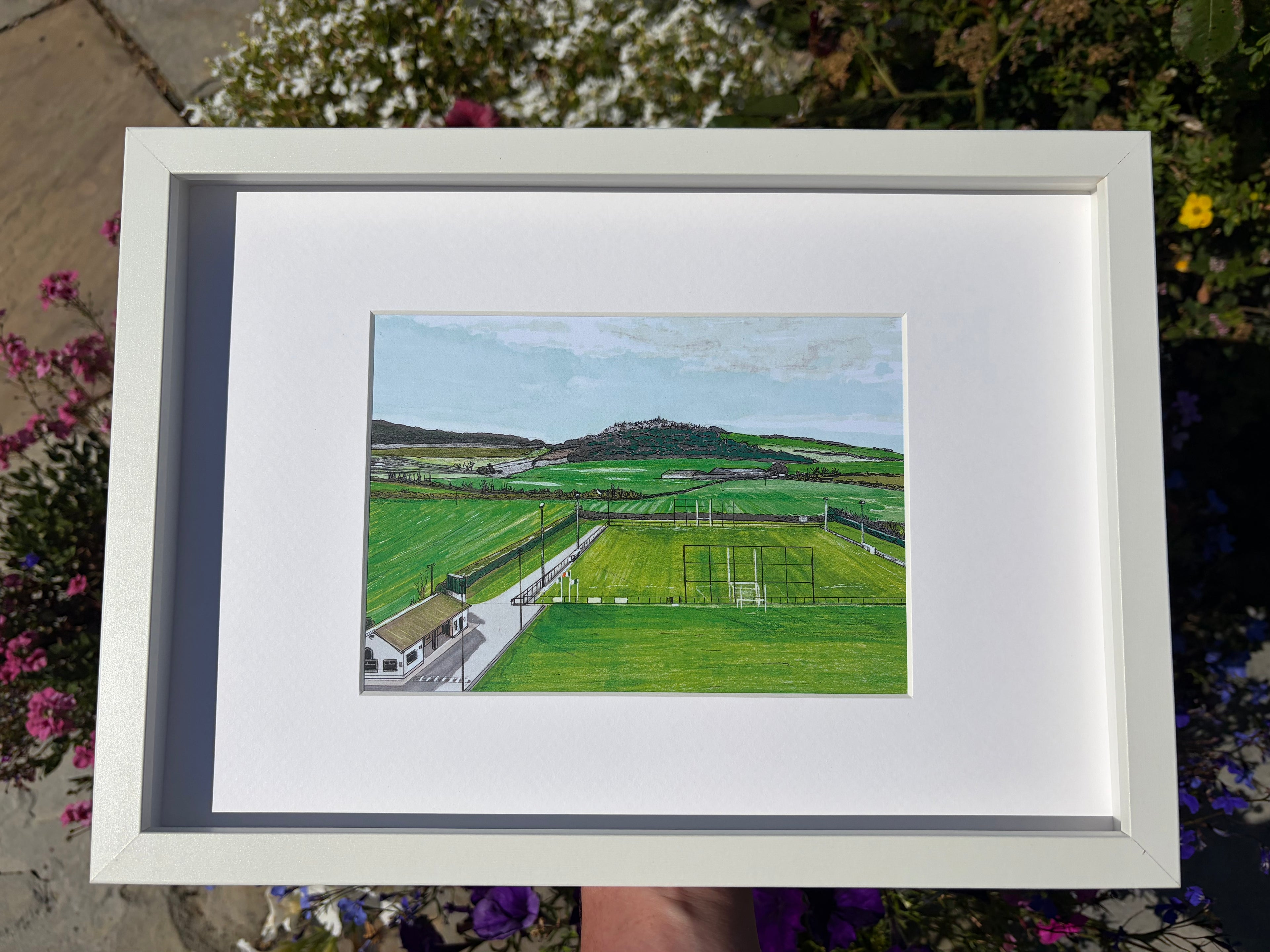 Stradbally Pitch