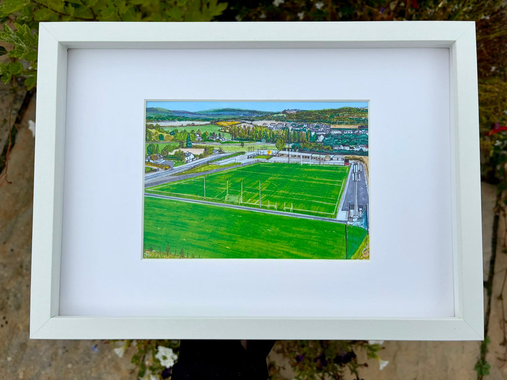 The Harps Pitch