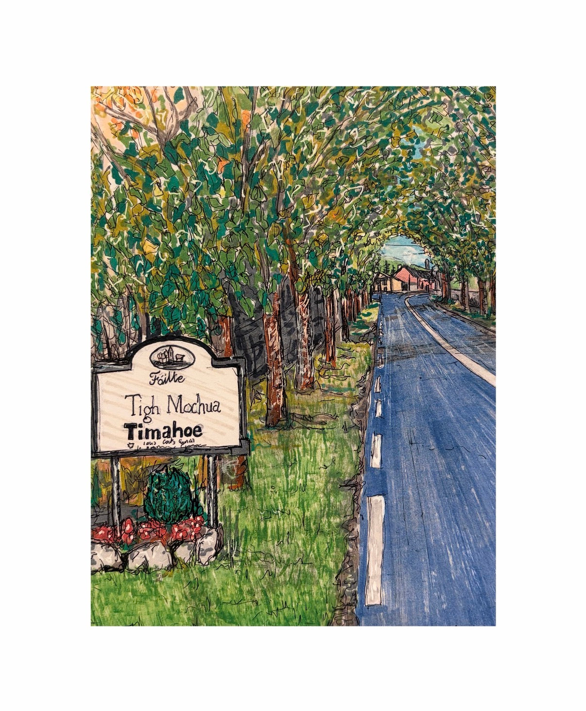 Timahoe Ave