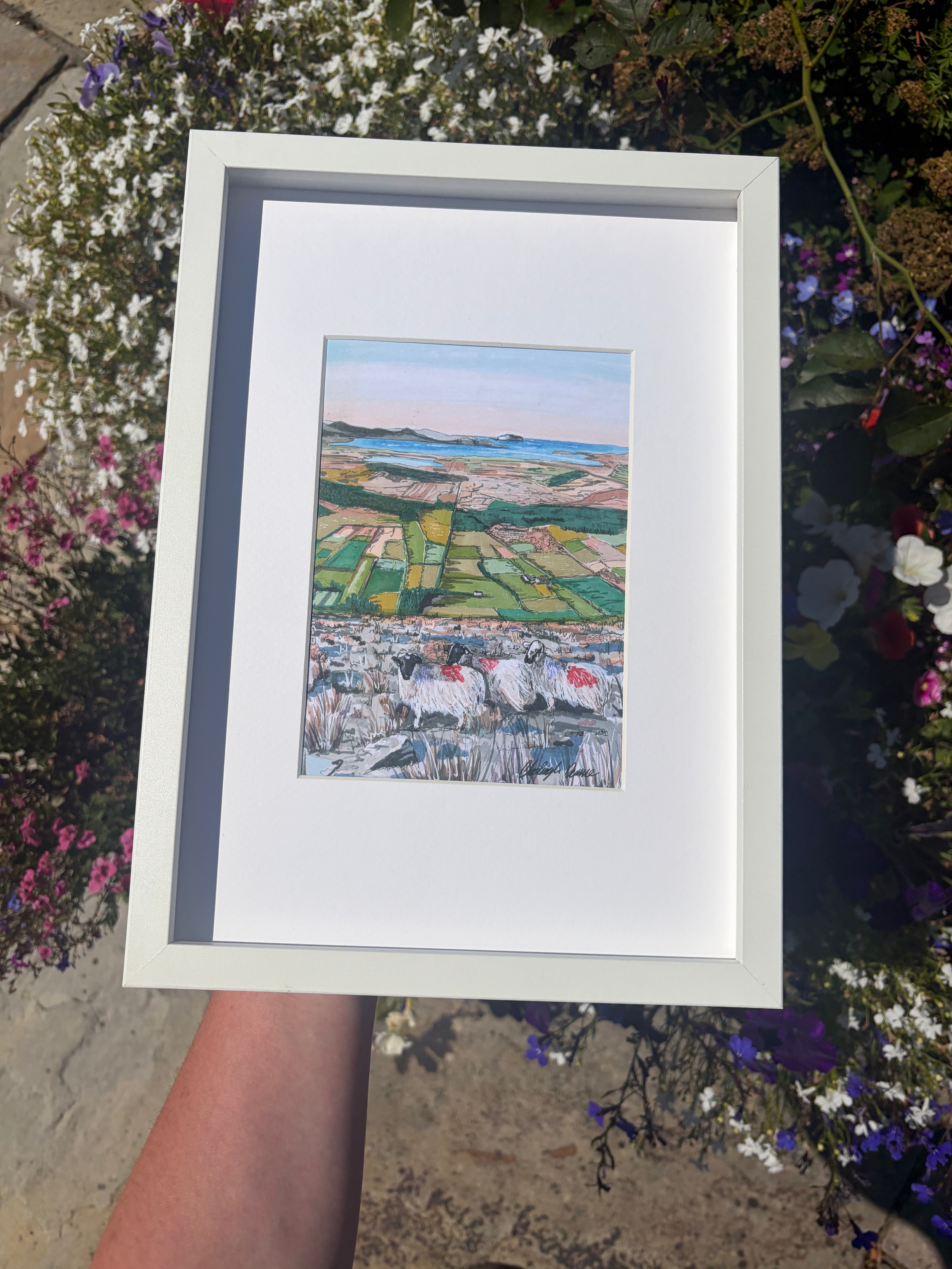 Wild Atlantic Way